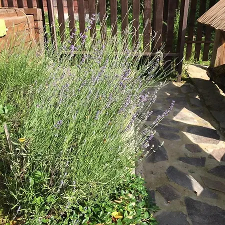 Сasa de vacaciones остра